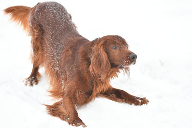 Similar image 21194500