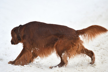 Similar image 21194502