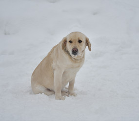 Similar image 21194504