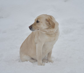 Similar image 21194505