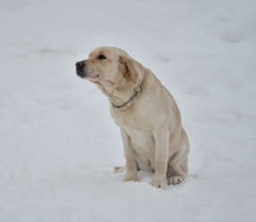 Similar image 21194508