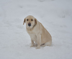 Similar image 21194509