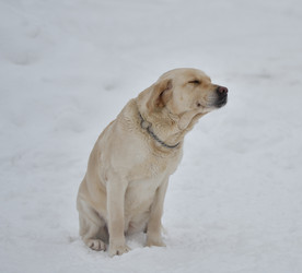 Similar image 21194510