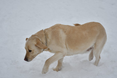 Similar image 21194512