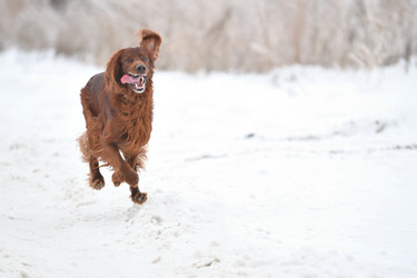 Similar image 21194513