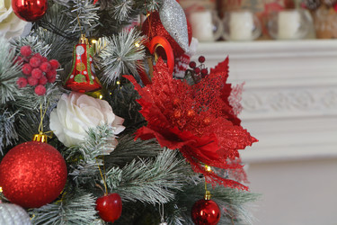 Similar image 21185931