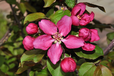 Similar image 21194515