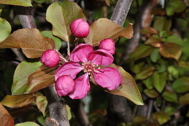 Similar image 21194516