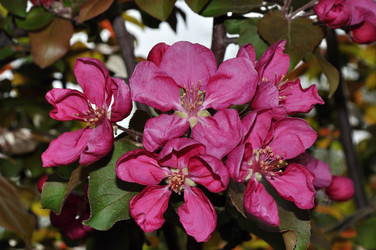 Similar image 21194517