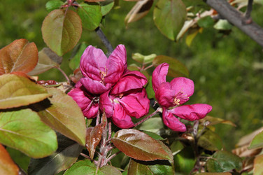 Similar image 21194518