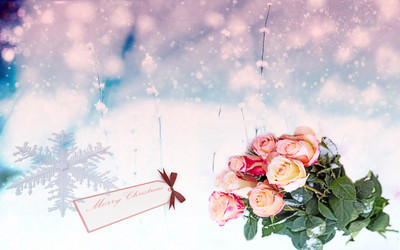 Similar image 21181559