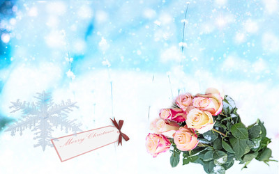 Similar image 21181561