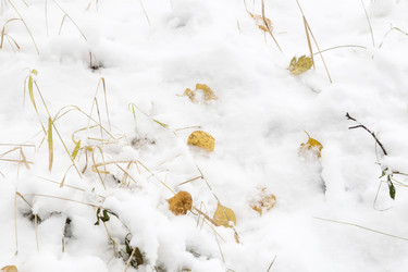 Similar image 21181566