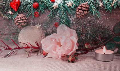 Similar image 21181569