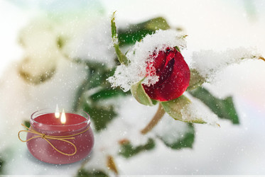 Similar image 21181592