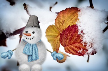 Similar image 21181593