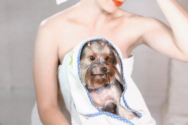 Similar image 21184681