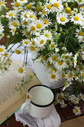 Similar image 21185934