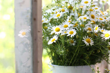 Similar image 21185935