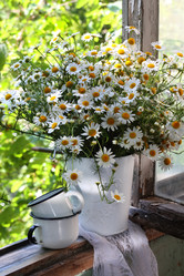 Similar image 21185936