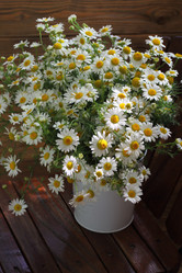 Similar image 21185937