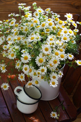 Similar image 21185938