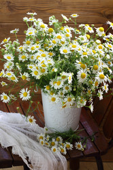 Similar image 21185939