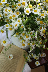 Similar image 21185940