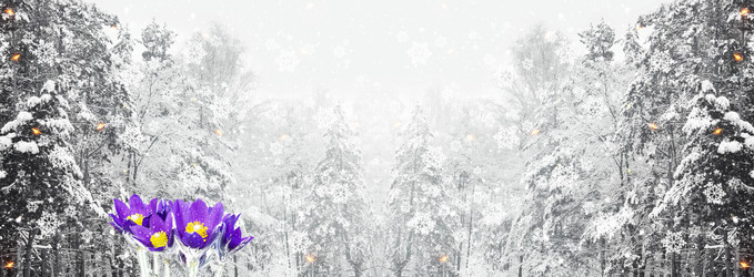 Similar image 21171376