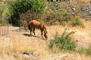 Similar image 21180835