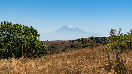 Similar image 21180845