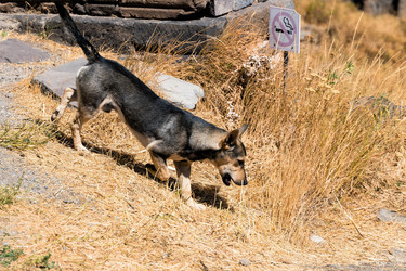 Similar image 21180857