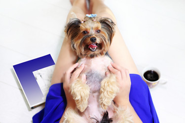 Similar image 21184686