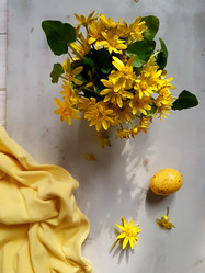 Similar image 21184687