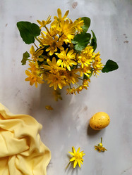 Similar image 21184688