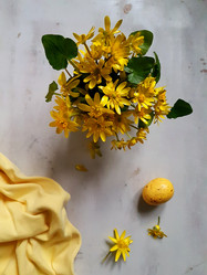 Similar image 21184689