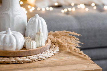 Similar image 21173493