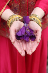 Similar image 21184102