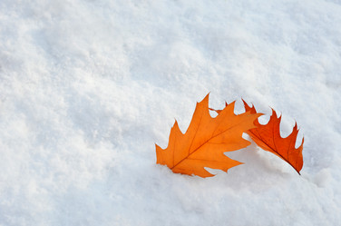 Similar image 21176615