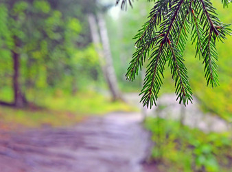 Similar image 21176616