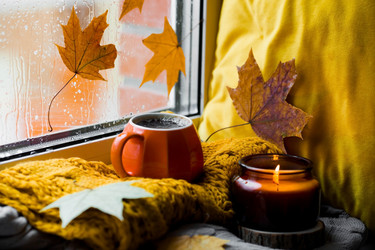 Similar image 21173558