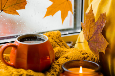 Similar image 21173571