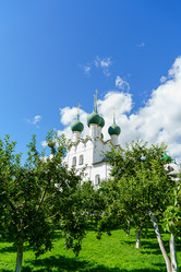 Similar image 21186452