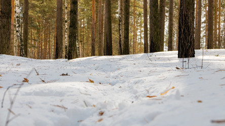 Similar image 21186453