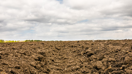 Similar image 21186642