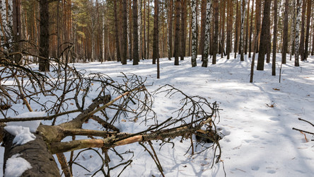 Similar image 21193242