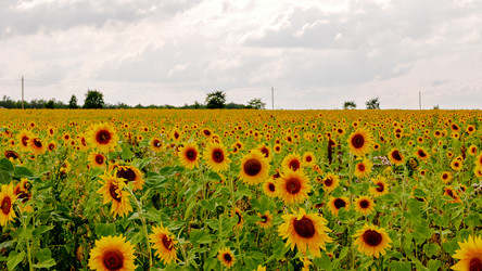 Similar image 21198986