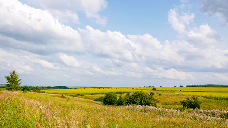 Similar image 21198988