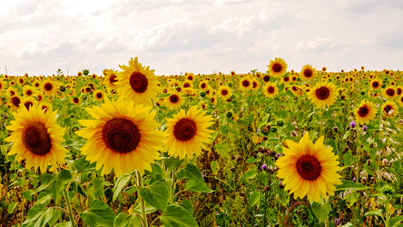 Similar image 21198989