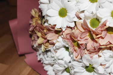 Similar image 21174421